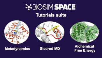 A Suite of Tutorials for the BioSimSpace Framework for Interoperable Biomolecular Simulation