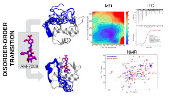 Molecular Driving Force of a Small Molecule- Induced Protein Disorder-Order Transition